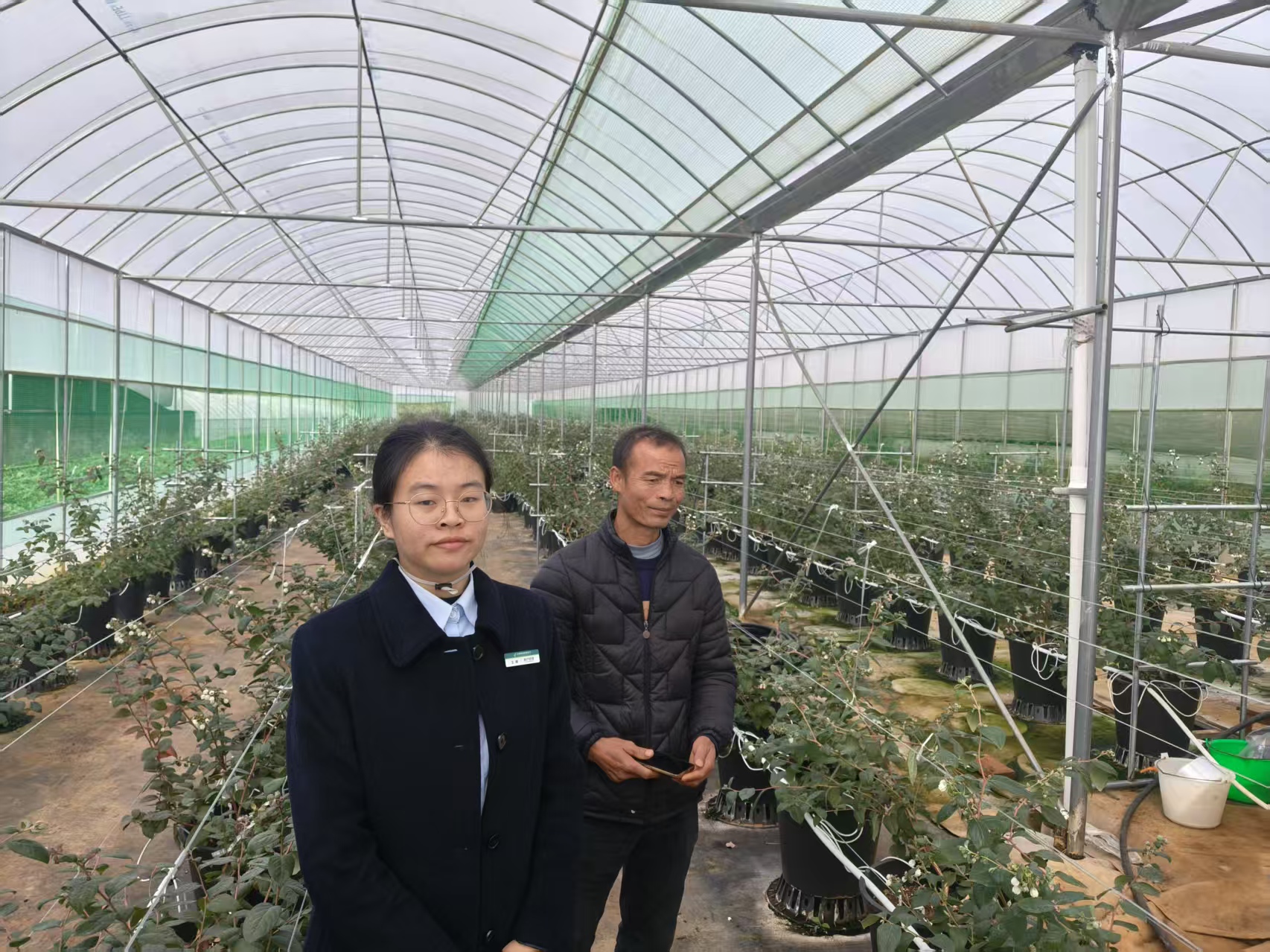 金融活水浇灌石屏万亩果园