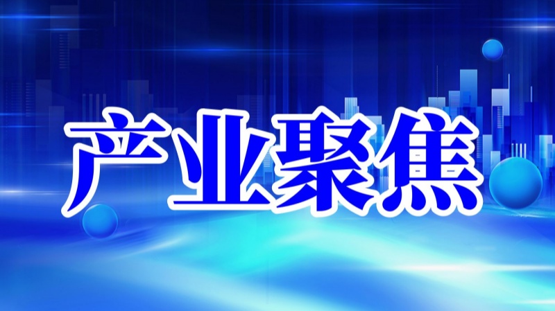 數(shù)字鄉(xiāng)村的“云端交響”