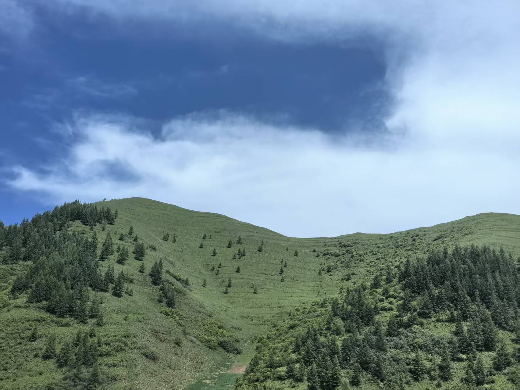 陕西宝鸡:移风易俗绘就乡村文明新图景