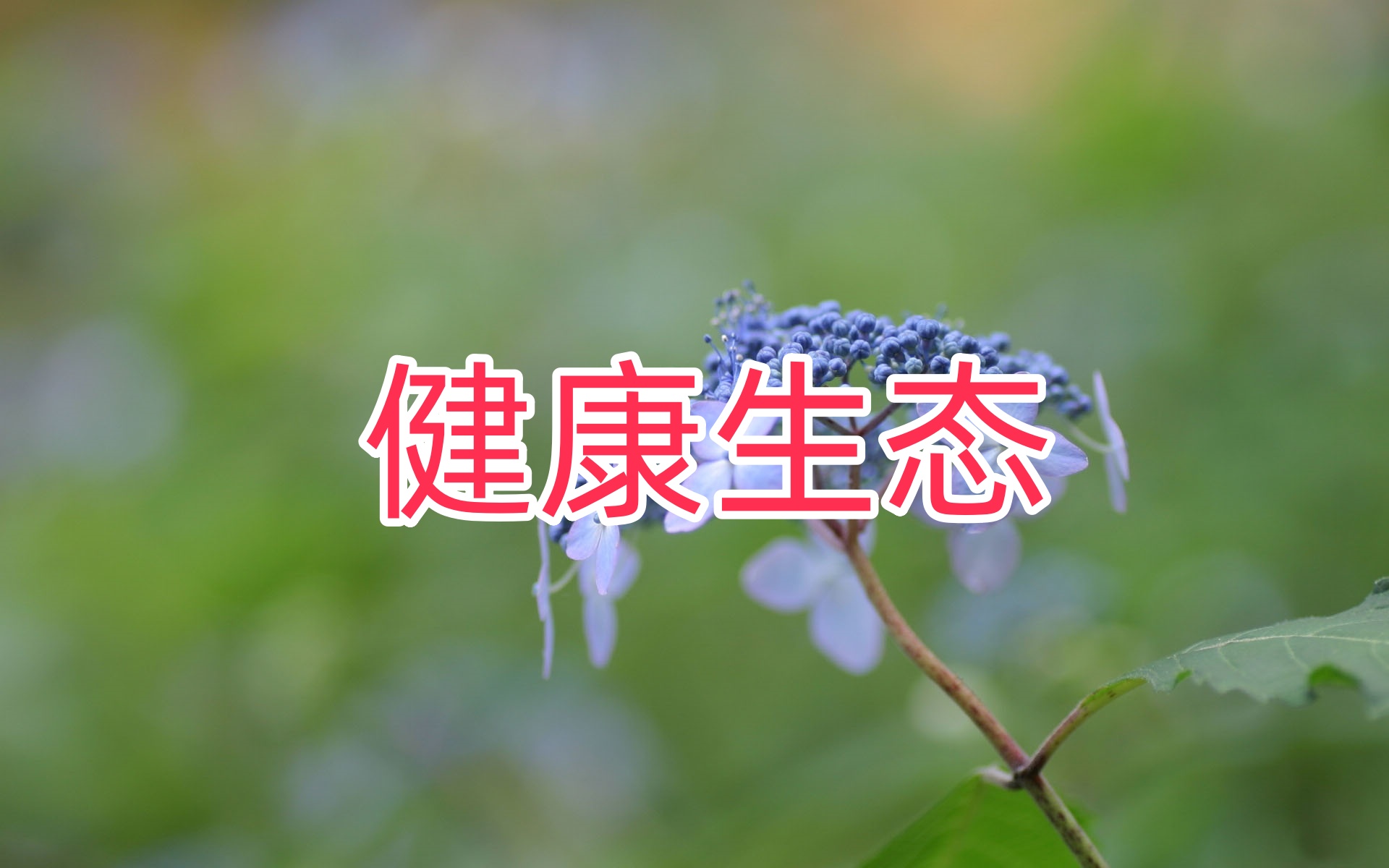 福建省长汀县四都镇全面推进乡村文化会客厅建设