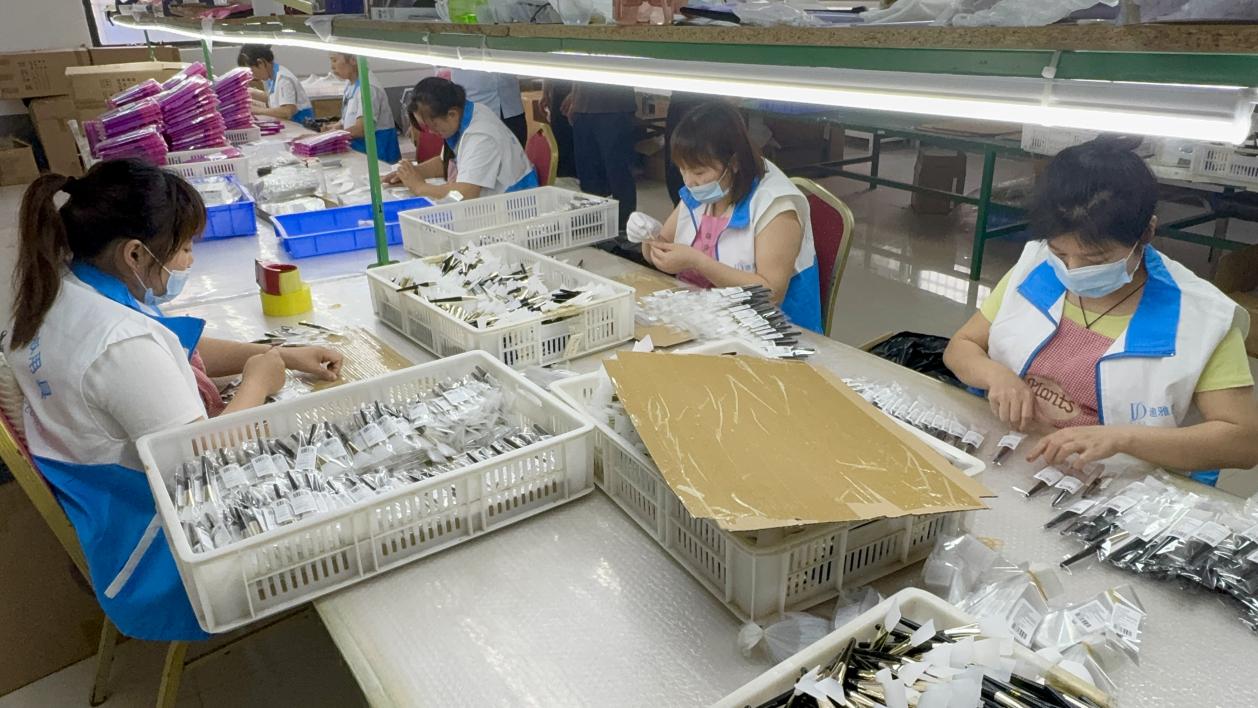 鹿邑迪雅思：从手工理毛到出海智能美妆的逆袭路