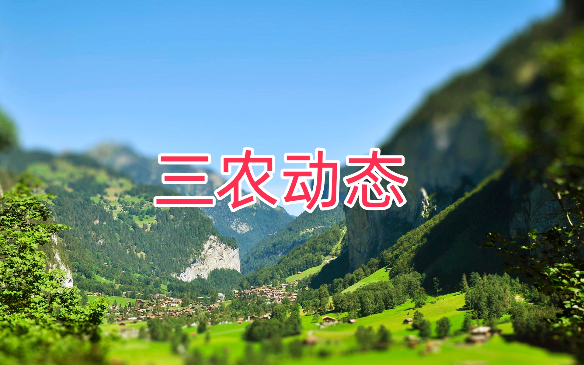 驻村干部当如枇杷：经岁寒志不移 历淬炼结硕果