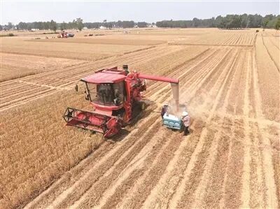 把“三农”问题作为重中之重 加快建设农业强国